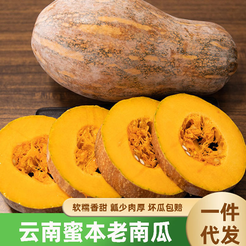 Bốn mùa phân phối cho phụ nữ mang thai bí ngô bí ngô già.