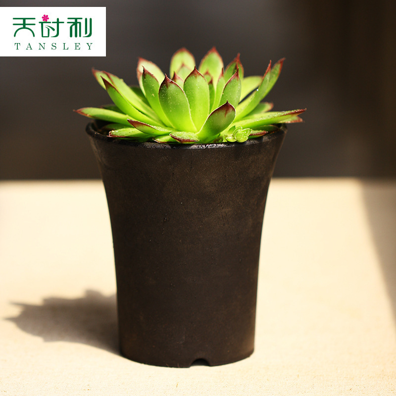 Ống nước, bình nhựa ở eo cao, bình mận đen trắng.