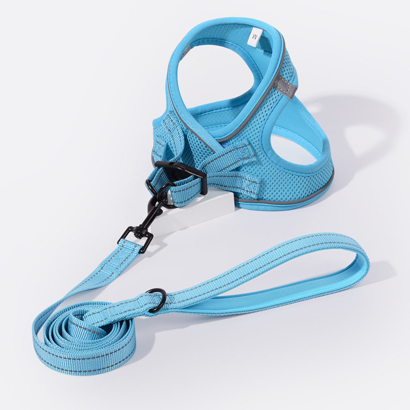 Thú cưng da đỏ Amazon trở lại với một con chó săn phản xạ nhẹ.