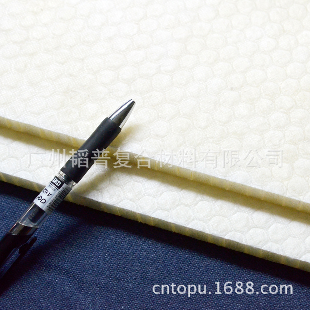 塑料蜂窩板 pp蜂窩芯 聚丙烯蜂窩 廣州韜普 德國技術