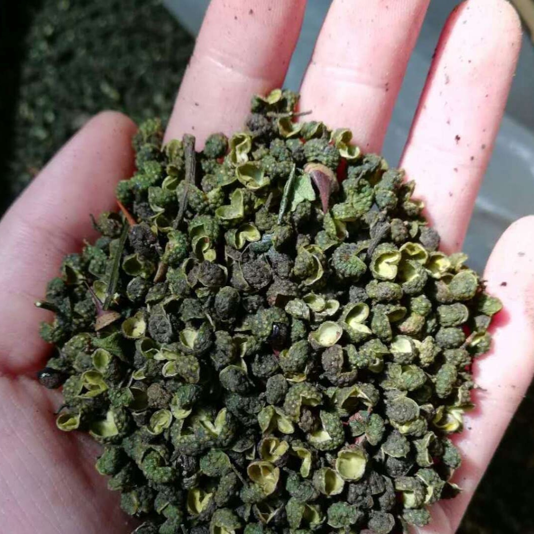 （越南青花椒）四川基地青花椒，麻辣花生配料调味料，火锅调味料