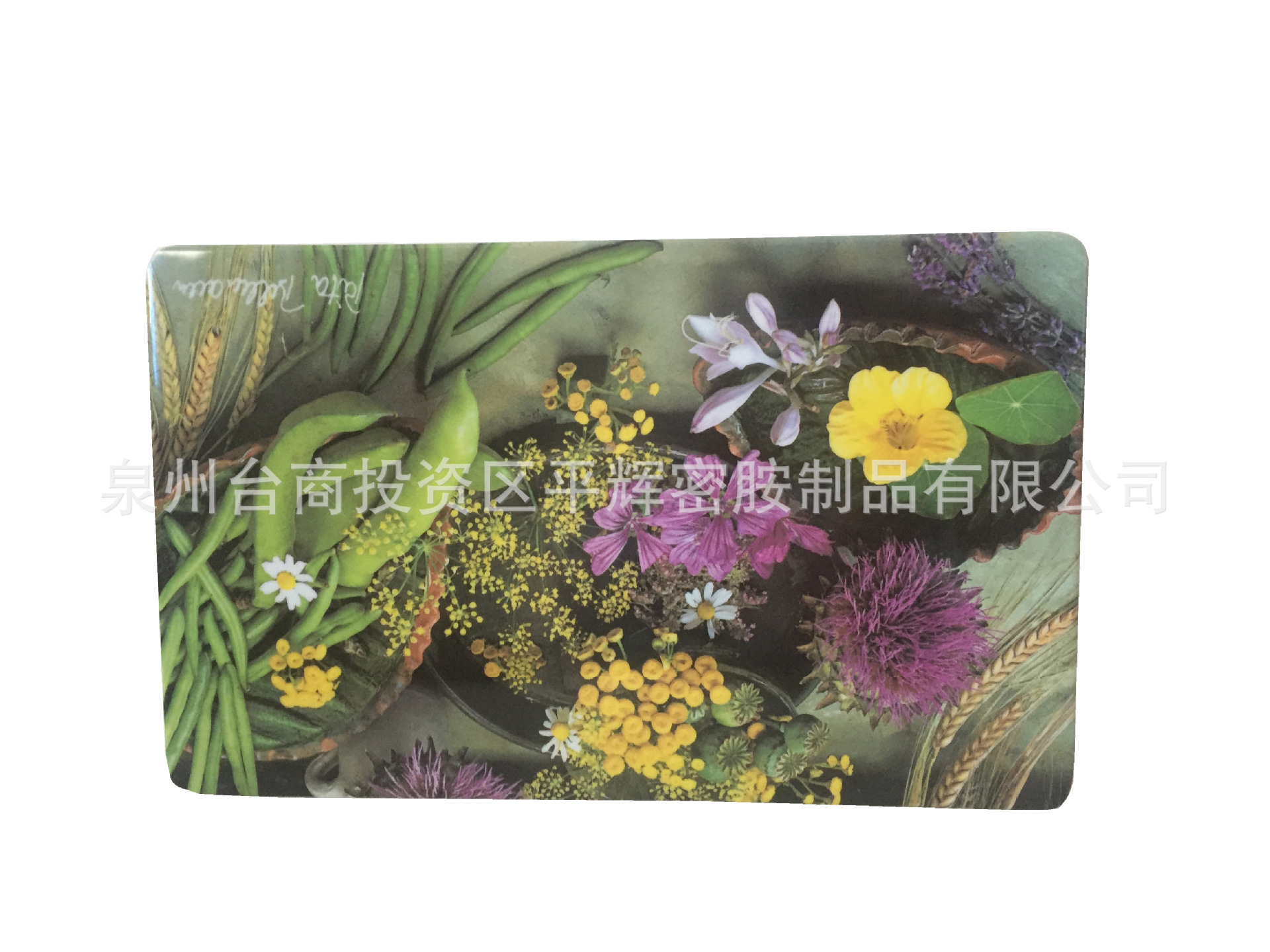 A5德国过食品级水果蔬菜设计密胺仿瓷菜板 美耐皿长方形面包板