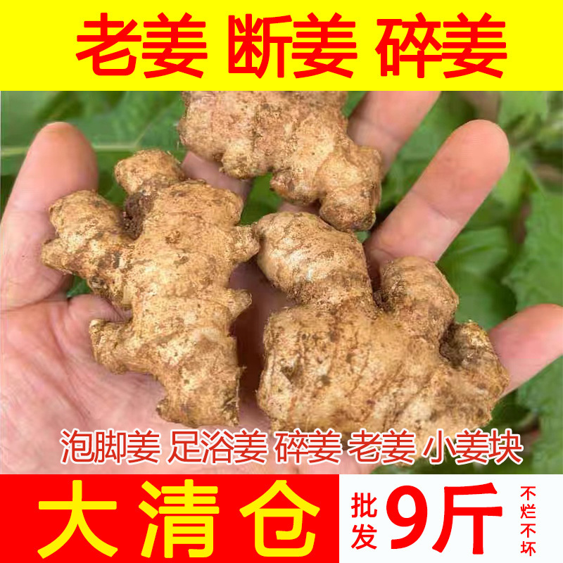Con của Yunnan.