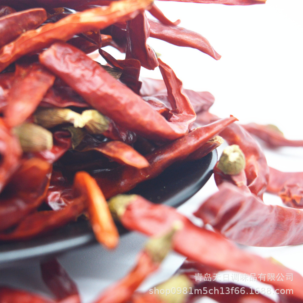 The Indian Devil's Pitt Pitt Pitt, the real sick Red Devil's Pitt 500g.