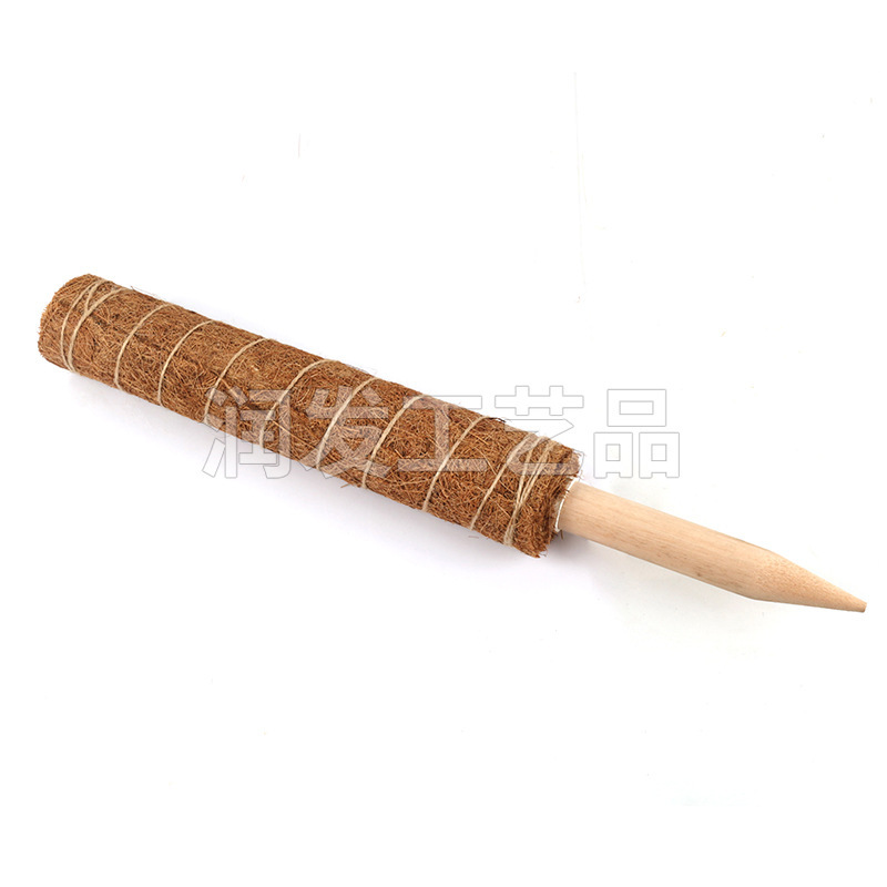 Thực vật, que dừa, giỏ dừa.