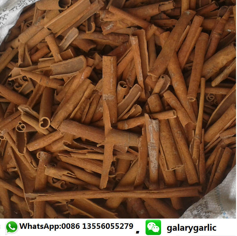 Cinnamon cinnamon cinnamon cinnamon cinnamon cinnamon cinnamon cinnamon cinnamon cinnamon cinnamon cinnamon cinnamon cinnamon cinnamon cinnamon cinnamon cinnamon cinnamon cinnamon cinnamon cinnamon cinnamon cinnamon cinnamon cinnamon cinnamon cinnamon cinnamon cinnamon cinnamon cinnamon cinnamon cinnamon cinnamon cinnamon cin, cinnamon cin mein cin, cin, cin cin, cin, cin, cin, cin, cin, cin cin, cin, cin, cina, cin, cin, cin, cin, cin, cin, cin, cin, cin. Cin, and cin. Cin.