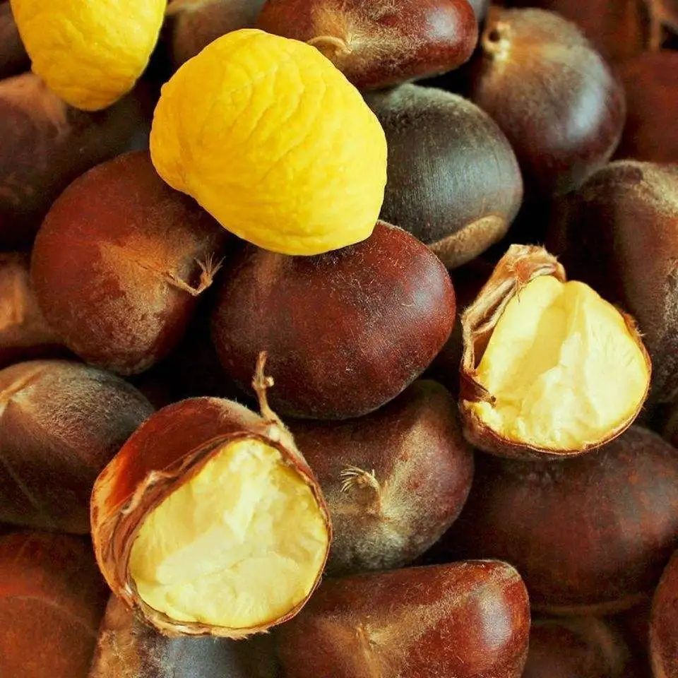 In 2024, fresh Danton chestnuts were husked with fresh twats.