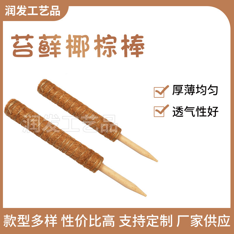 Nhà máy bán hoa hồng xanh lá cây và tranh khảm, giá hoa, lòng bàn tay và gậy.