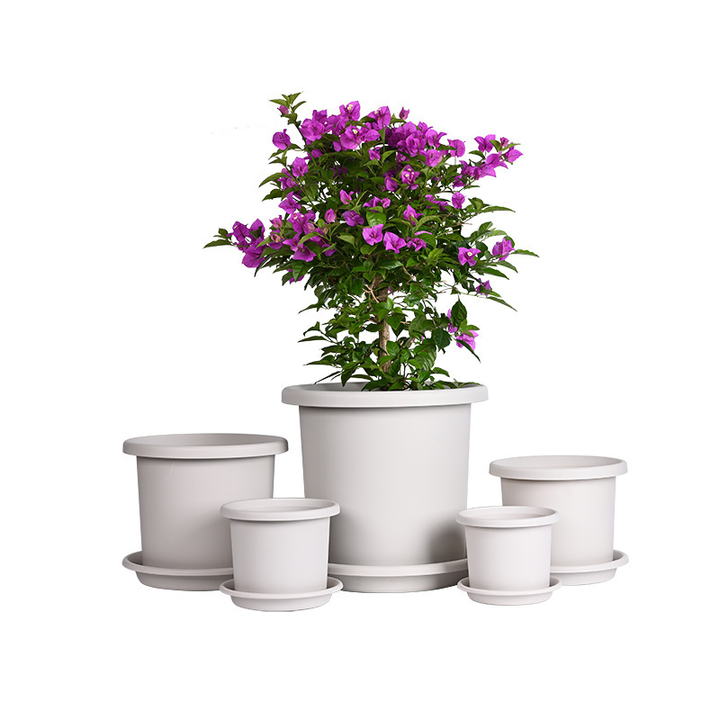 Gốc của vật hình trụ, thùng chứa ga-lông, quả bóng thêu màu xanh lá cây, bó hoa mặt trăng, hoa tulip.