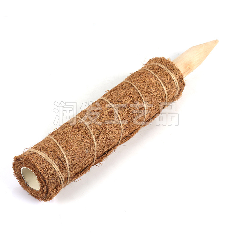 Thực vật, que dừa, giỏ dừa.