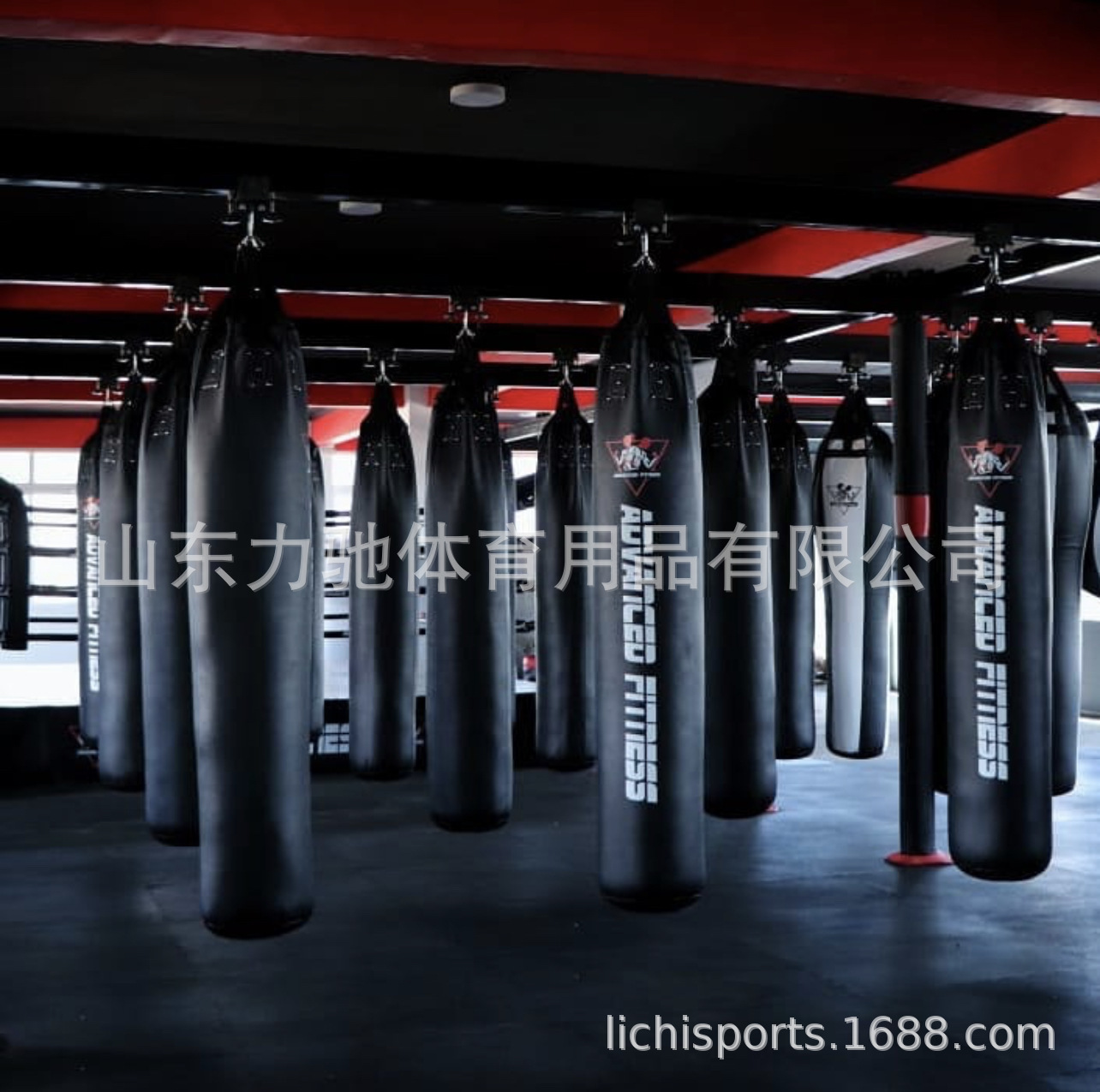 전문화된 boxing boxing 부대, 무거운 부대 boxing 체육관.