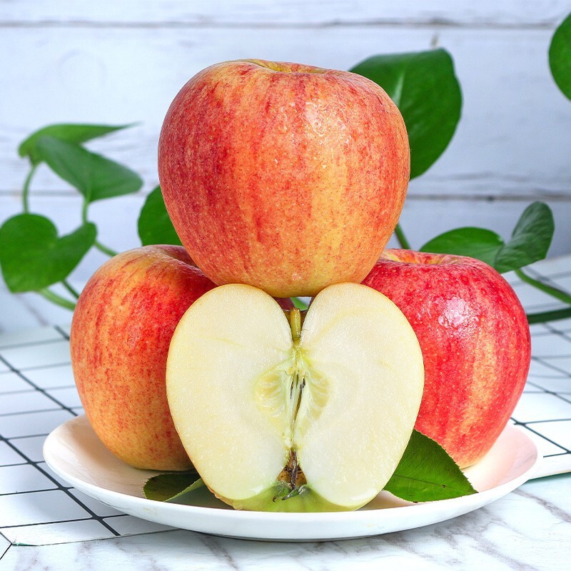 Gansu-Michael apples with fresh and juicy season fruit.
