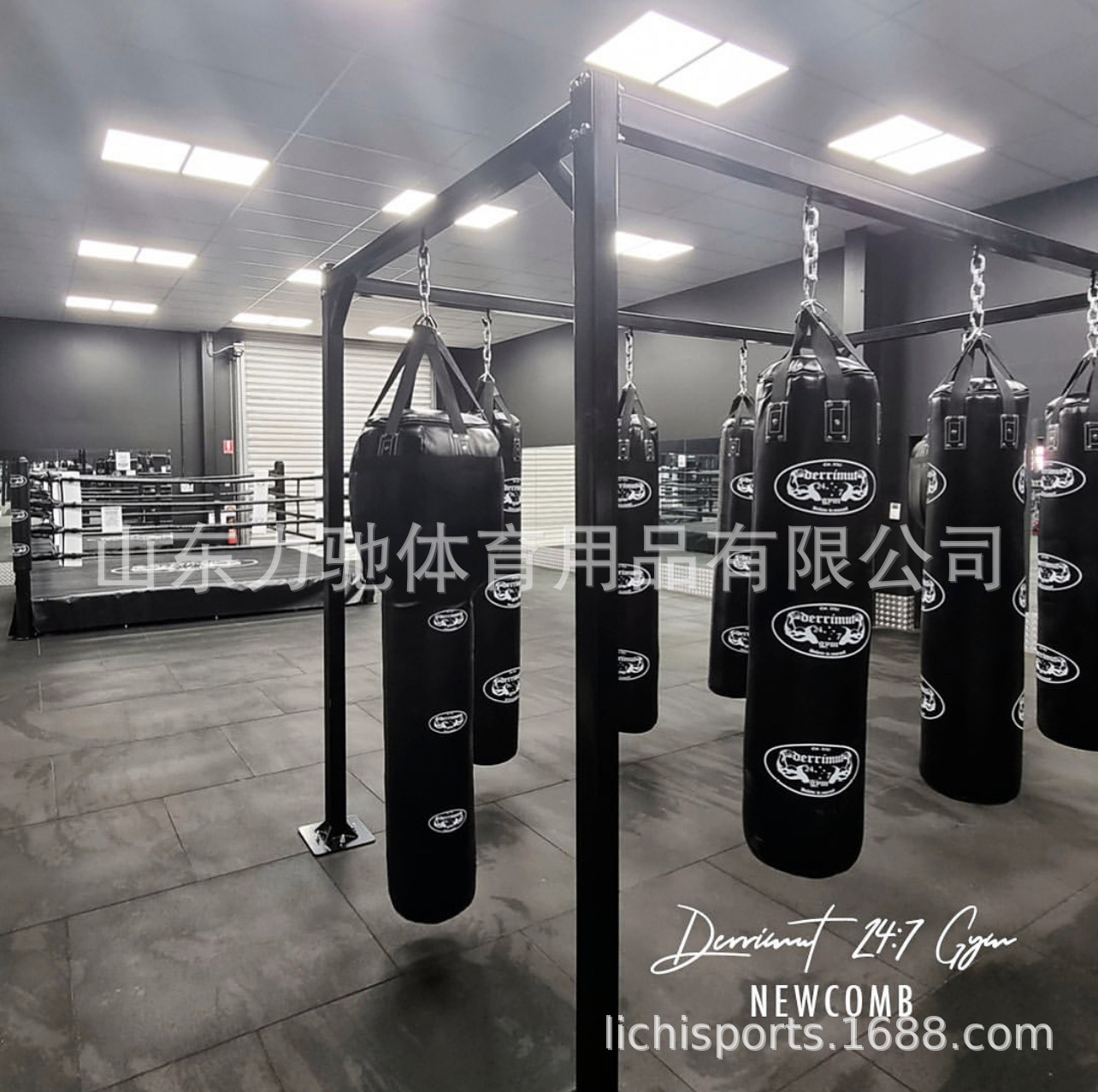 전문화된 boxing boxing 부대, 무거운 부대 boxing 체육관.