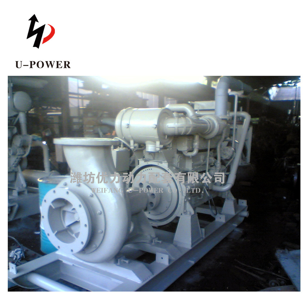 Supply of diesel water pump unit permutation water pump unit