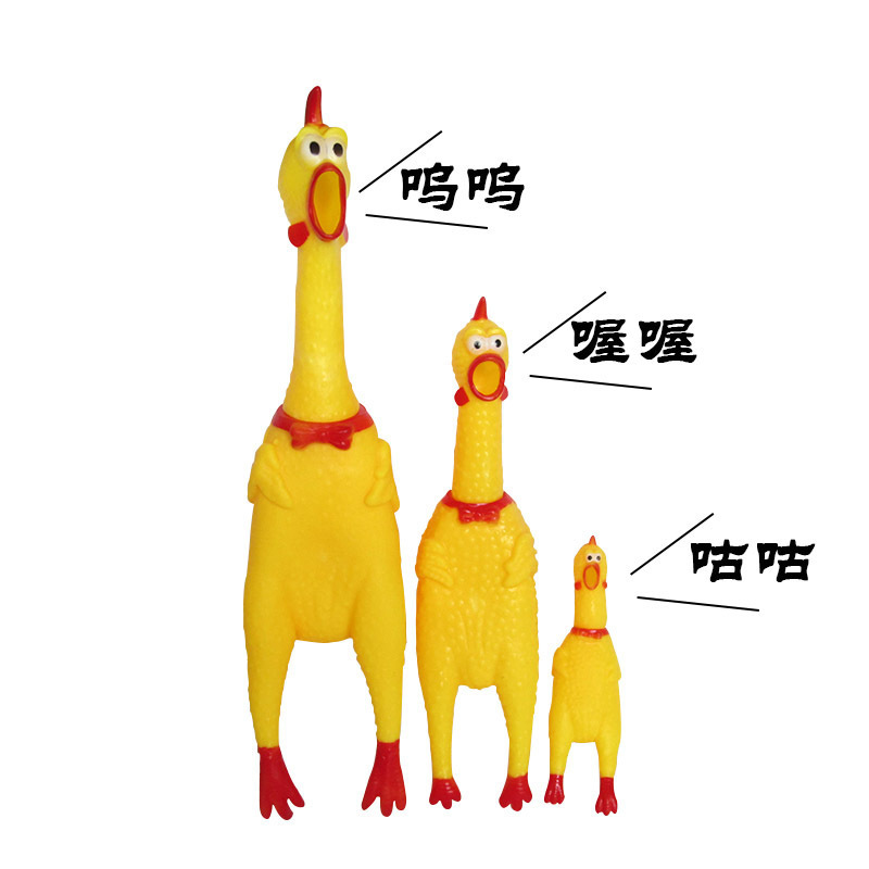 Loài động vật này nghe như gà vậy.