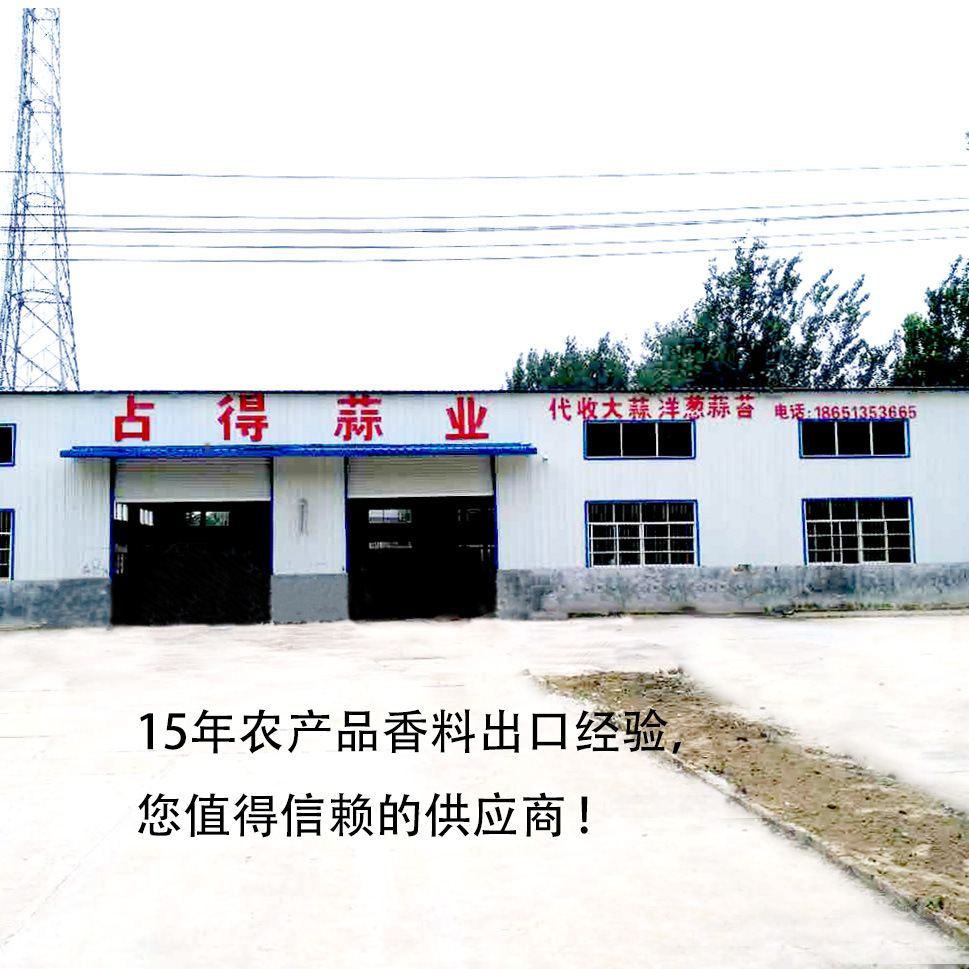 Tôi đã bán khu vực sản xuất hành tây mới của tỏi Pupu-white nhiều năm rồi.