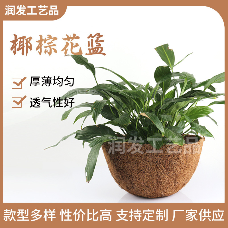 Những cái giỏ dừa, những cái giỏ dừa, những cái giỏ bằng sắt.