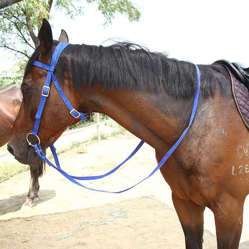 You can choose different styles and colours for the horse-heads of the traves.