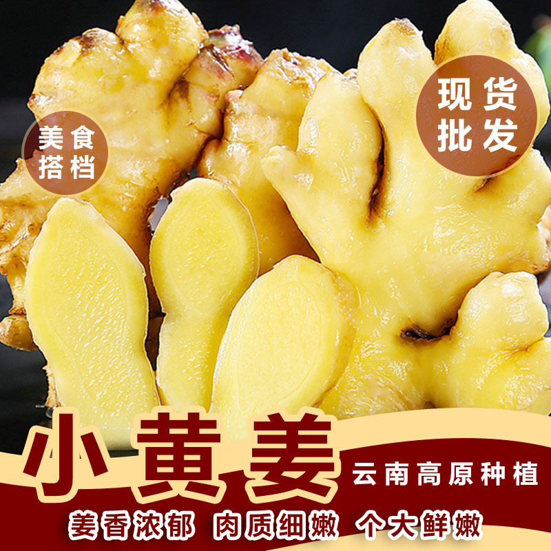 2024 tuổi Ginger Yong-nam, các loại rau thơm ngọt gừng đang đào lên một lớp lông.