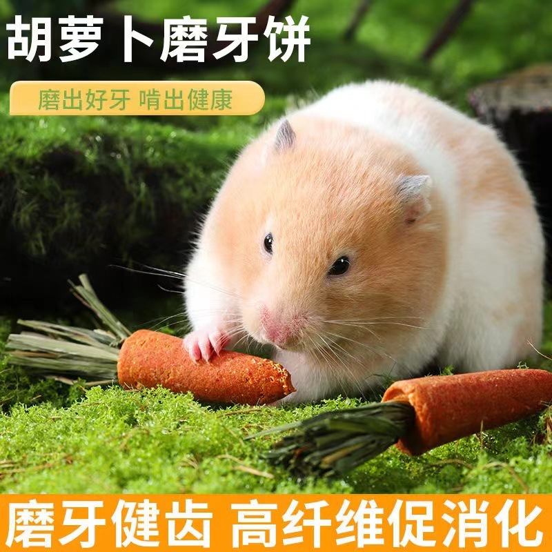 Cà rốt Hamster, thức ăn nhẹ.