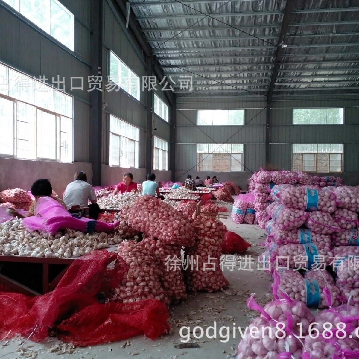 Tôi đã bán khu vực sản xuất hành tây mới của tỏi Pupu-white nhiều năm rồi.