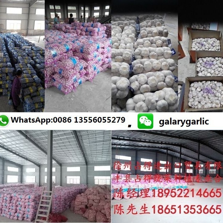 tỏi, tỏi, tỏi, tỏi, tỏi, hành, hành, hành, hành, hành, hành, và tỏi mới.