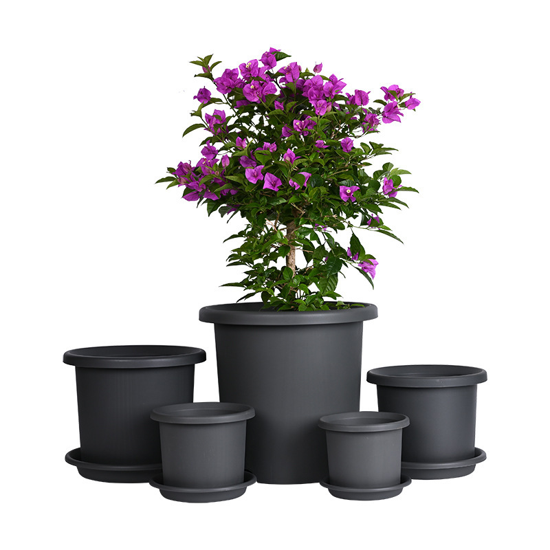 Gốc của vật hình trụ, thùng chứa ga-lông, quả bóng thêu màu xanh lá cây, bó hoa mặt trăng, hoa tulip.