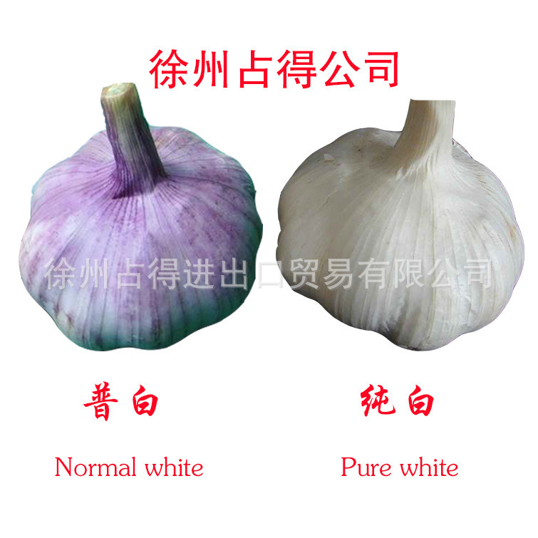 tỏi, tỏi, tỏi, tỏi, tỏi, hành, hành, hành, hành, hành, hành, và tỏi mới.