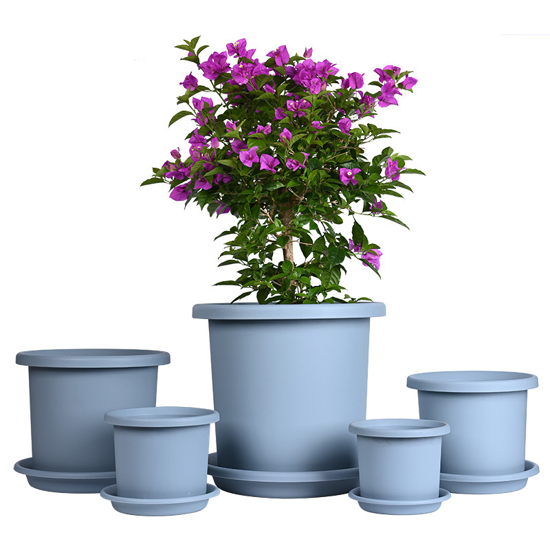 Gốc của vật hình trụ, thùng chứa ga-lông, quả bóng thêu màu xanh lá cây, bó hoa mặt trăng, hoa tulip.