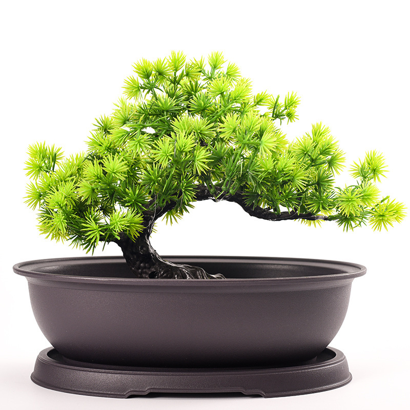 Nó giống như một chậu hoa hình bầu dục.
