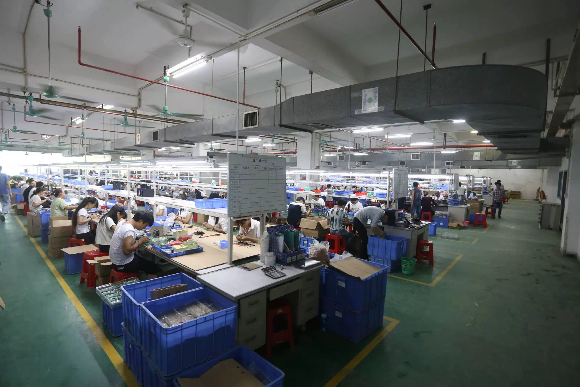 Công ty TNHH Nimmy Fruit Industries, Thành phố Thâm Quyến