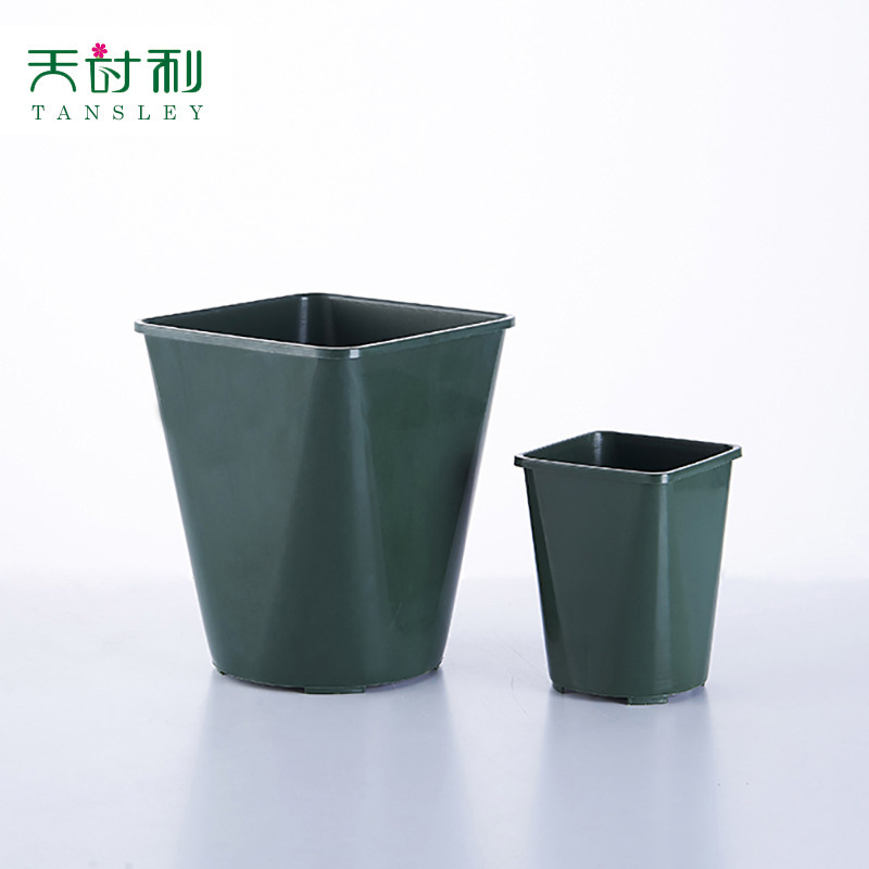Những cái đĩa, mùa, những cái cày xanh.