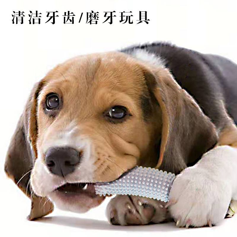 Đồ chơi của loài vật yêu quý này cắn răng của đồ chơi đồ chơi đồ chơi đồ chơi đồ chơi đồ chơi đồ chơi đồ chơi với đồ chơi đồ chơi đồ chơi