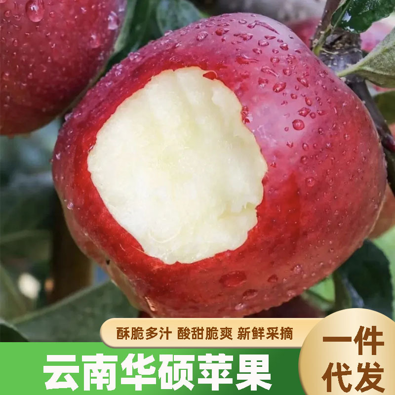 In 2024, Yunnan's cinnamon focous apples were fresh and fresh.