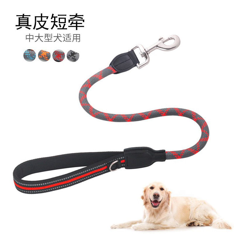 Con chó mới của Amazon được huấn luyện về dây thép gai.