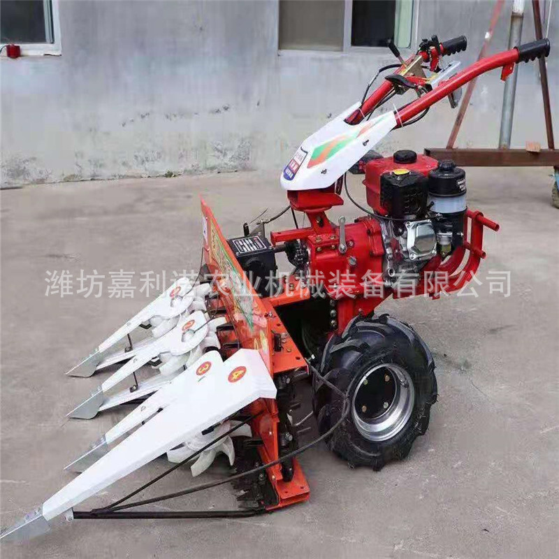 Mini-screw reed harvester, sorghum, soybeans multi-croper.