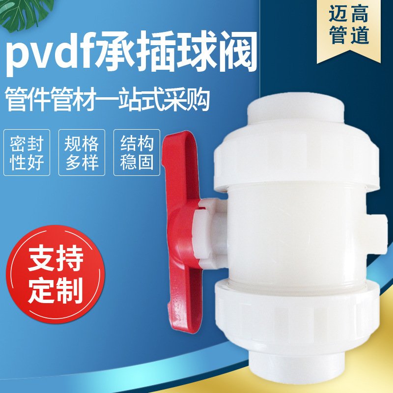 Pvdf พลาสติกสําหรับ pvdf