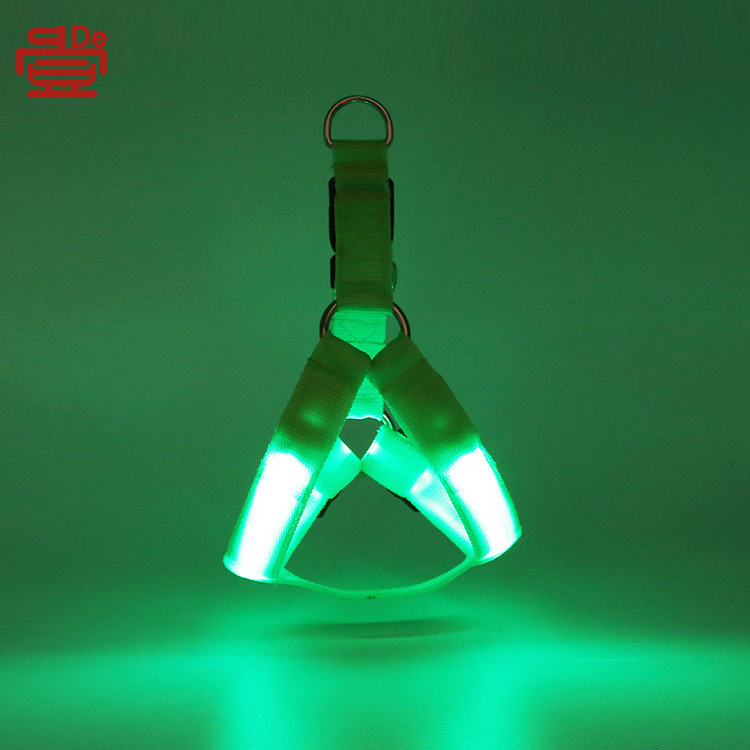 Dây an toàn của chó LED, dây cáp mạng, lông chó.