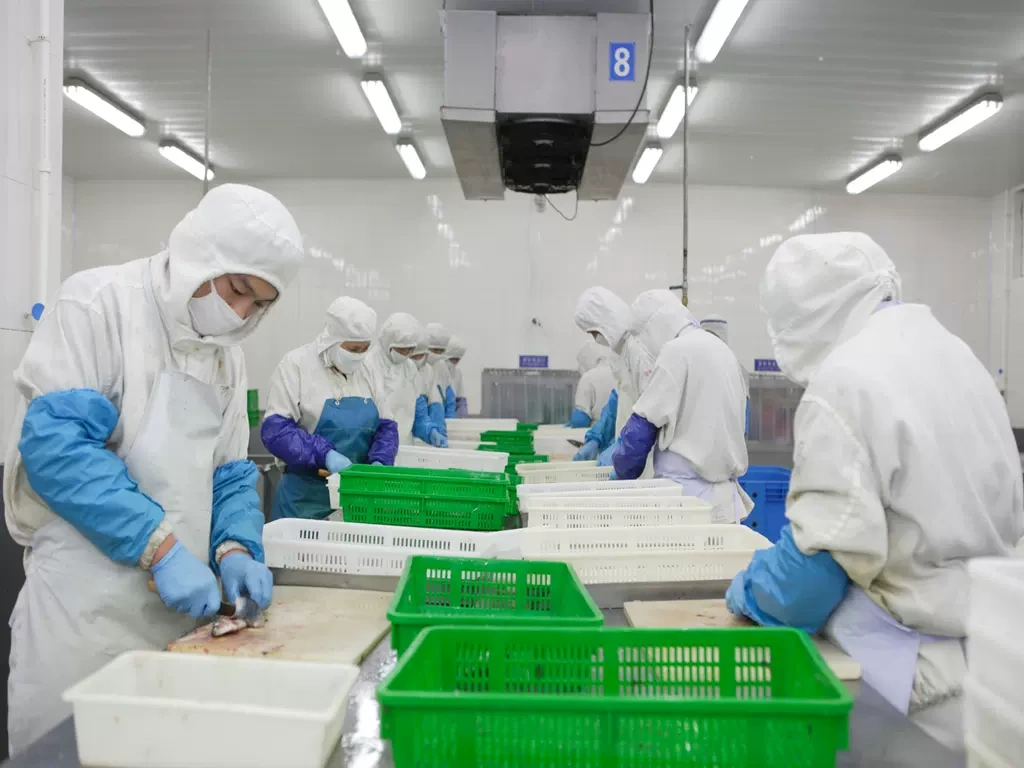 Công ty TNHH Thực phẩm Shandong Xing