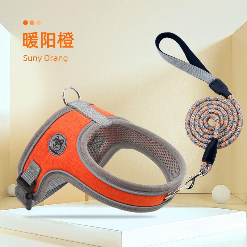 A7 con chó lưng ngựa mặc áo khoác buộc dây thừng để chống đạn qua dây thừng chó, chó con và chó.