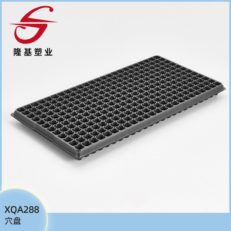 Trồng trọt bằng ván hang Lungi Cắm điện Trồng trọt Trồng trọt Cọ ván XQA Series