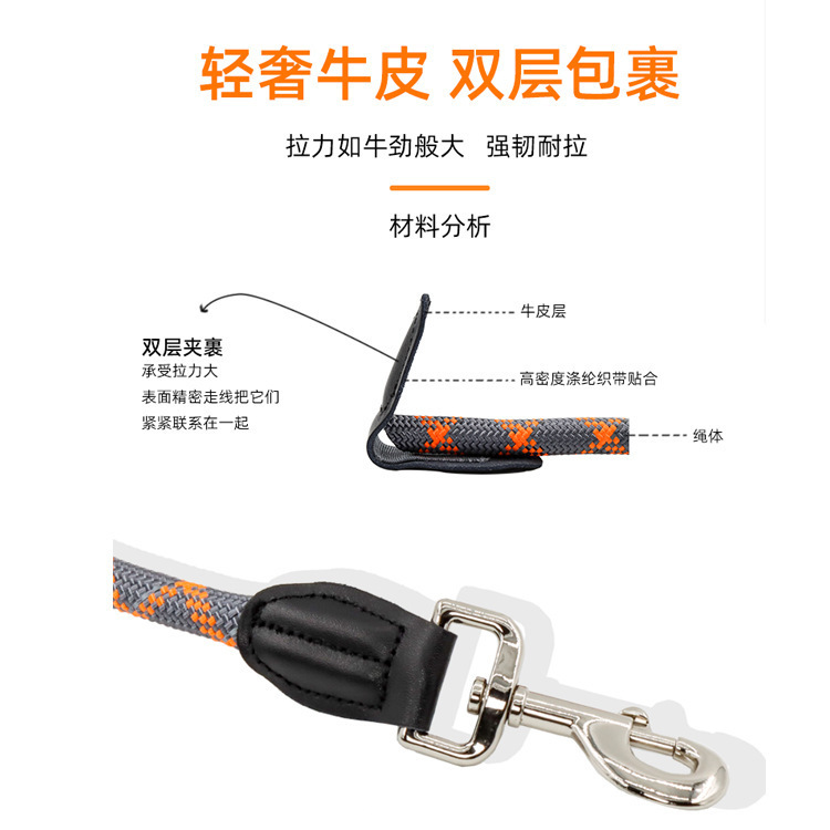 Con chó xếp hàng kéo dây thừng, dây thừng của Labrado ghê tởm nylon, bò-để-từ-từ-cho-cho-đến-cho-đến-l.