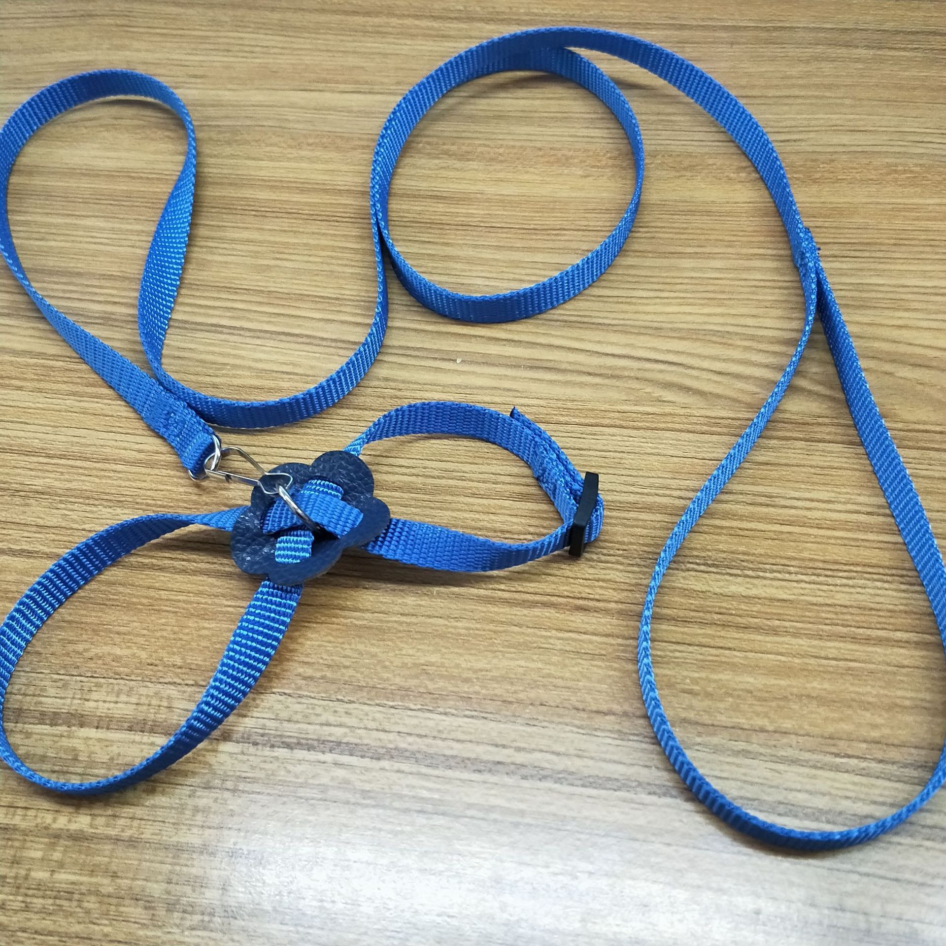 Một con chuột lôi một con lợn Hà Lan vào ngực.