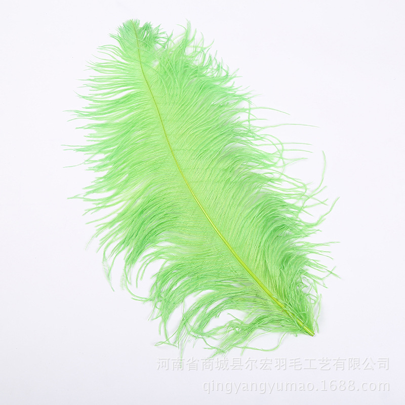 Tóc đà điểu có màu trang trí sân khấu 55-60CM.
