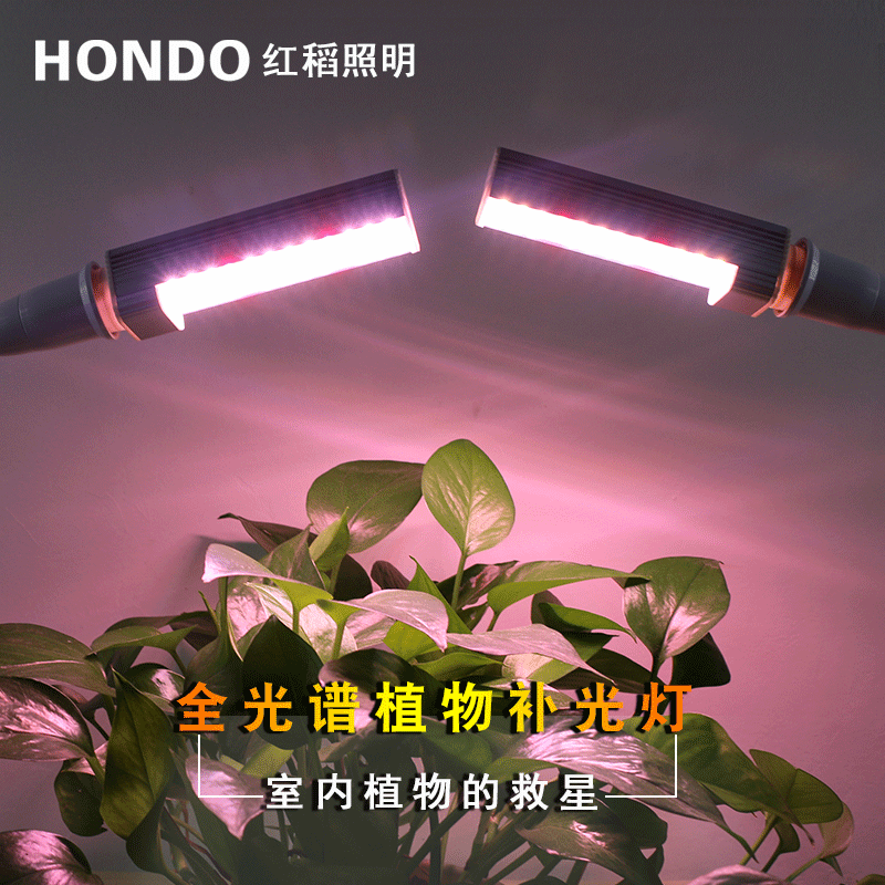 植物生长灯led全光谱室内盆栽夹子植物君子兰多肉补光灯家用新款