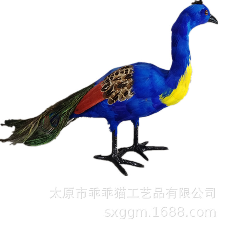 그것은 peacock 깃털 처럼.