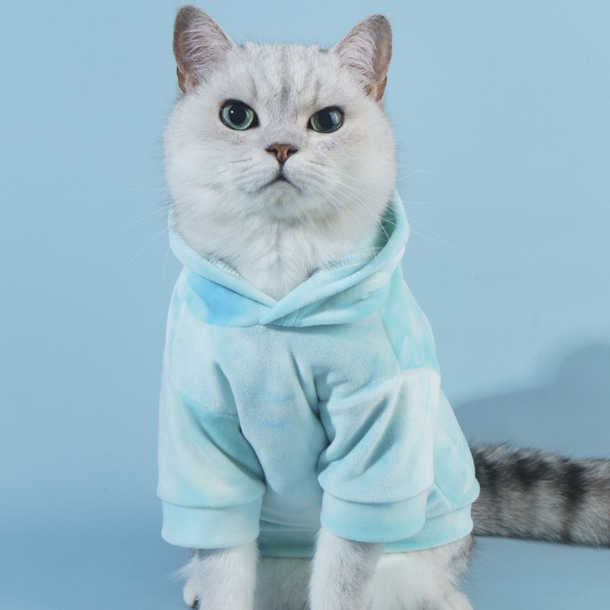 抱猫撸猫大狗小型狗宠物衣服狗狗猫咪通用宠物保暖衣服薄款卫衣