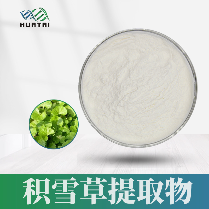 Snowgrass extract, snowgrass, spot supply, direct supply from the factory to Shaan Huatai.