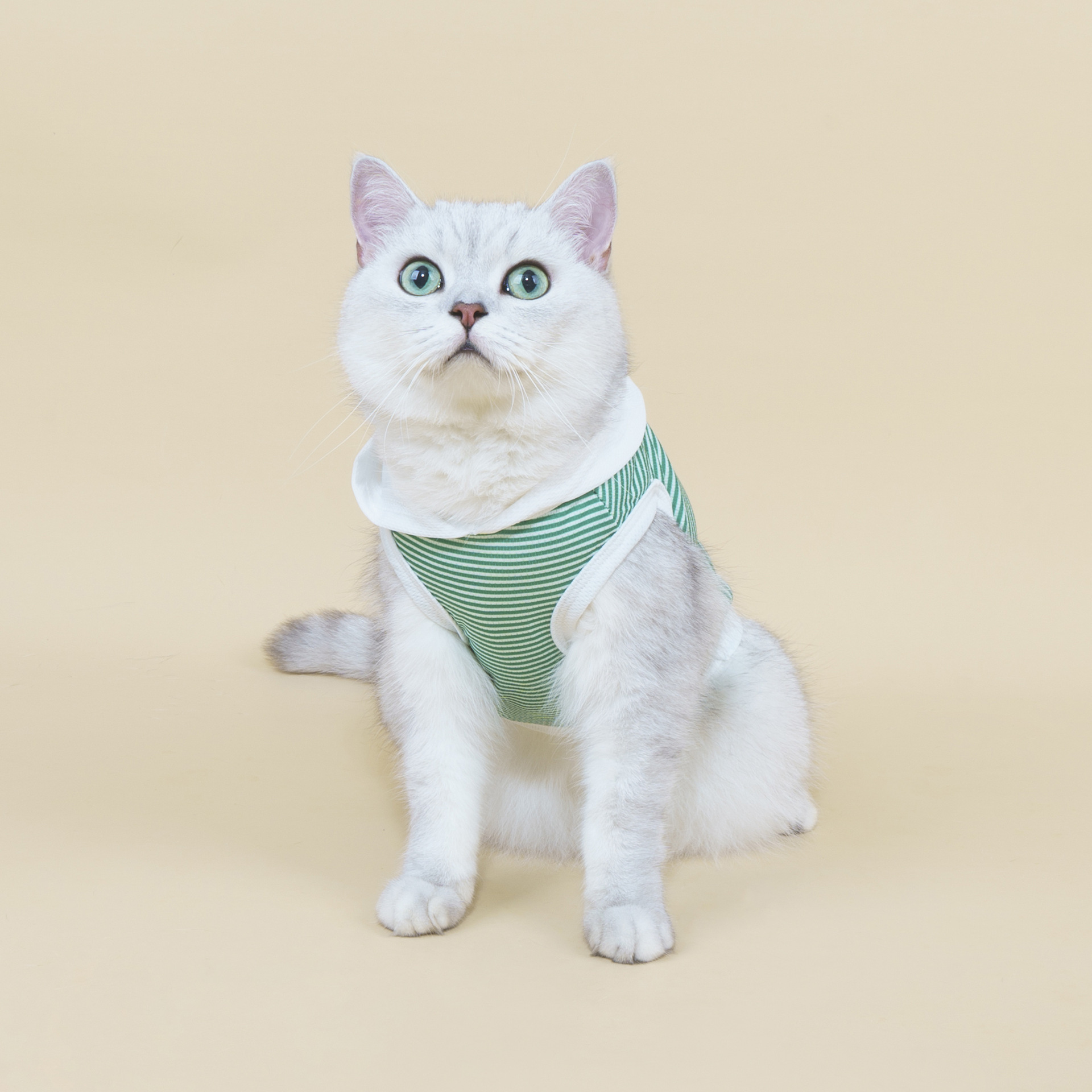 抱猫撸猫大狗小型狗宠物衣服狗狗猫咪通用宠物保暖衣服薄款卫衣