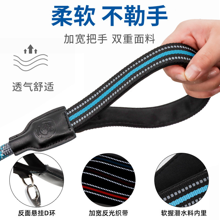 Con chó xếp hàng kéo dây thừng, dây thừng của Labrado ghê tởm nylon, bò-để-từ-từ-cho-cho-đến-cho-đến-l.
